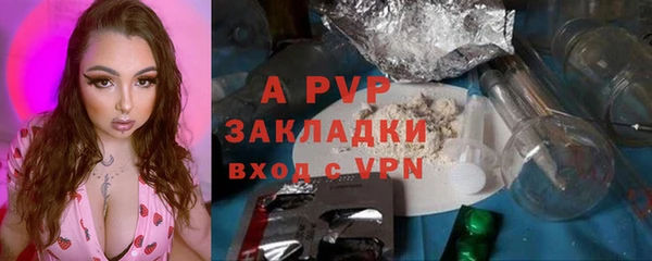 мет Касимов