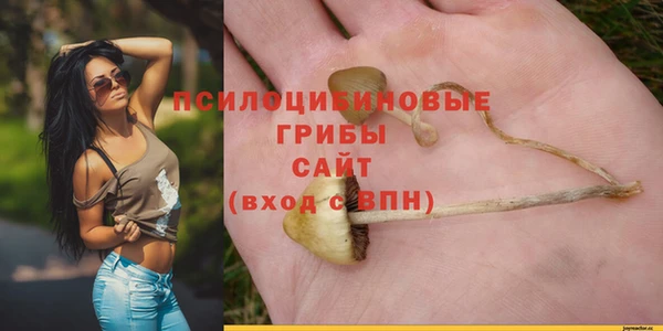 мет Касимов