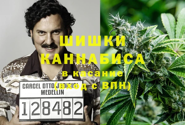 мет Касимов