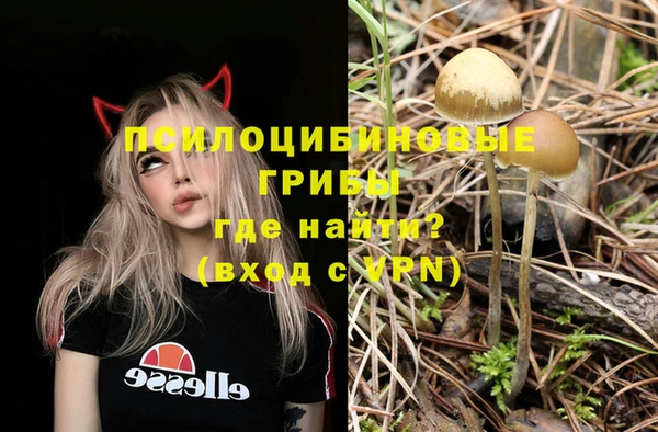мет Касимов
